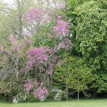 Gite Le Haut Perche, 4 Personnes Saint-Gervais-la-Forêt Zewnętrze zdjęcie