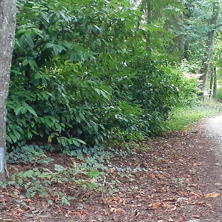 Gite Le Haut Perche, 4 Personnes Saint-Gervais-la-Forêt Zewnętrze zdjęcie